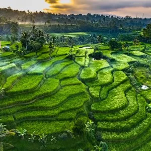 Landscape view of Jatiluwih Rice Terraces in Penebel District, Tabanan Regency, Bali, Indonesia. UNESCO's world's cultural heritage site