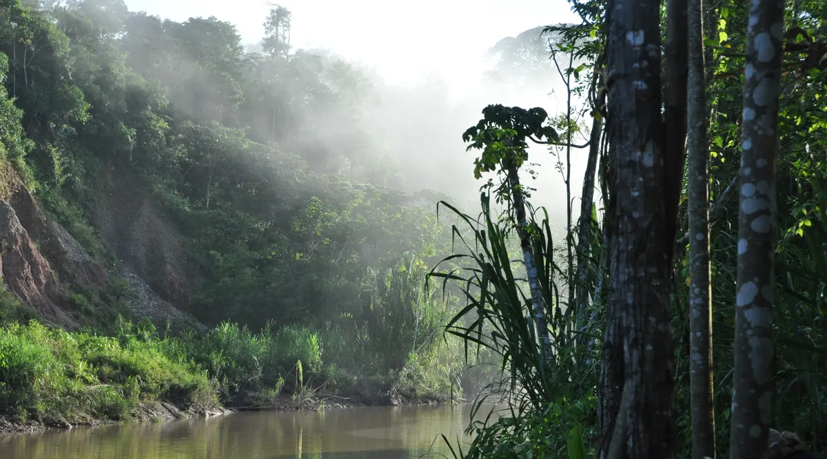 Amazon Escapade