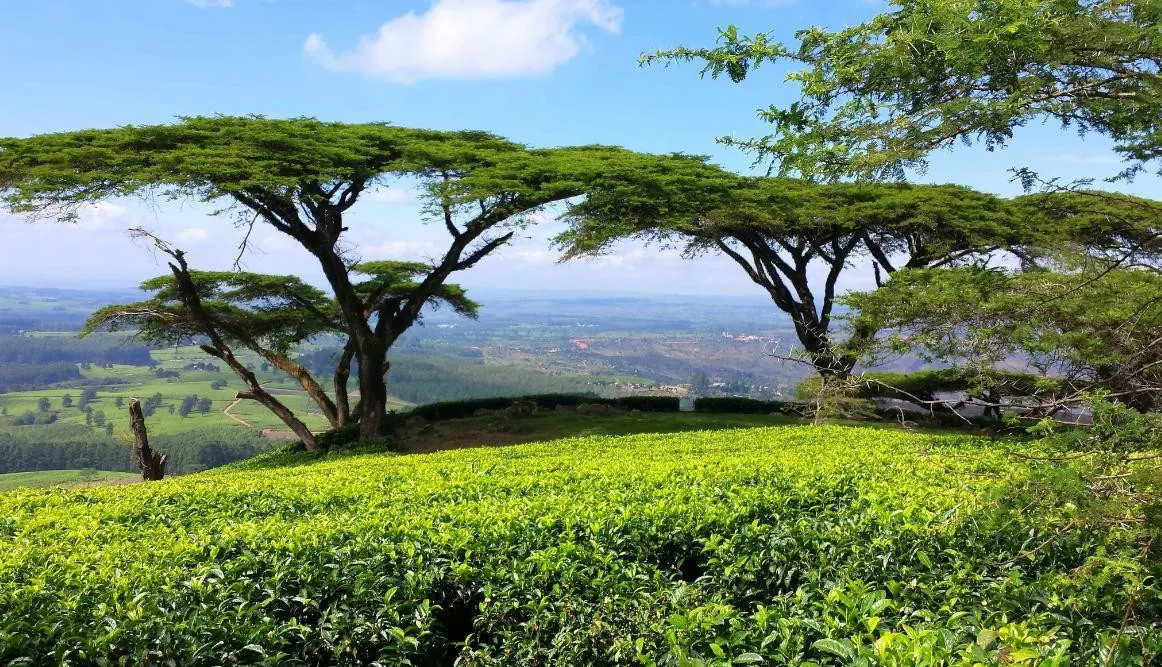 Malawi Meander Great Rail Journey 