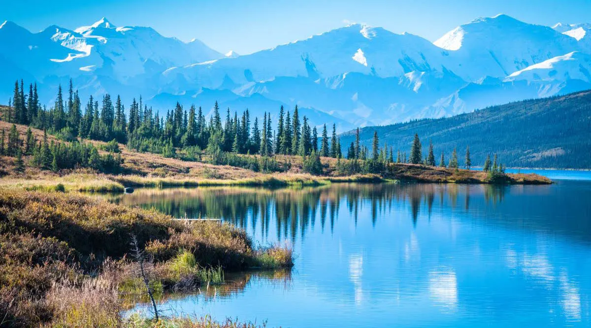 Denali National Park And Talkeetna Self Drive Explorer