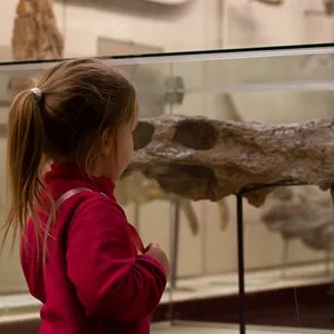 Natural History Museum