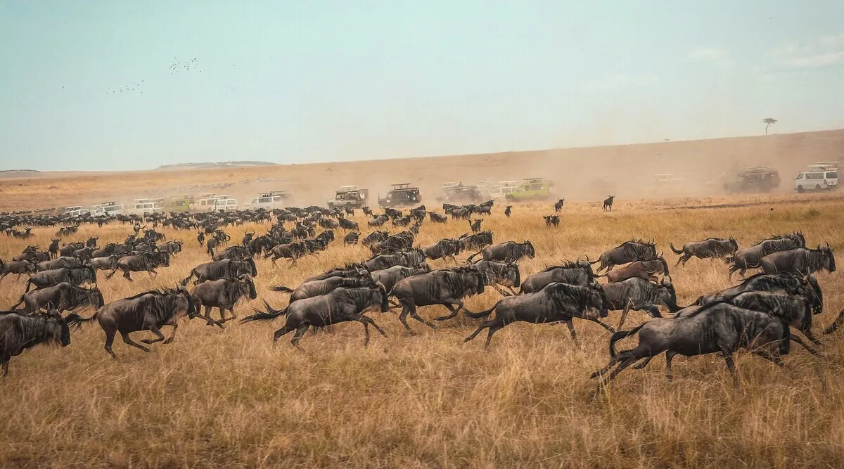 East Africa SkySafari