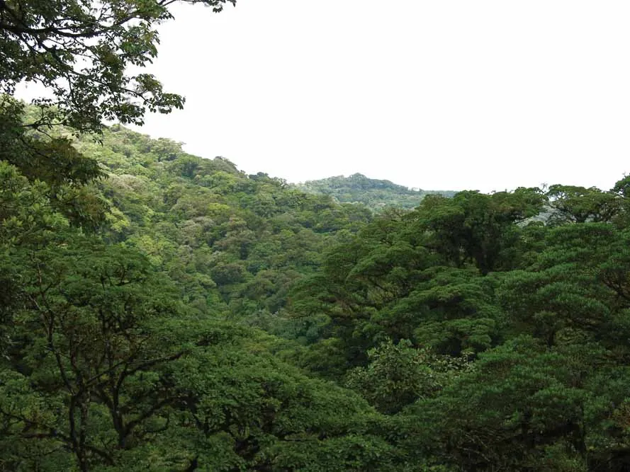 Jewels of Costa Rica