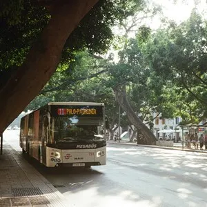 Public Transport