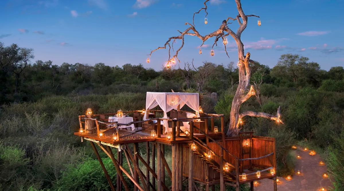Luxury Kruger Safari