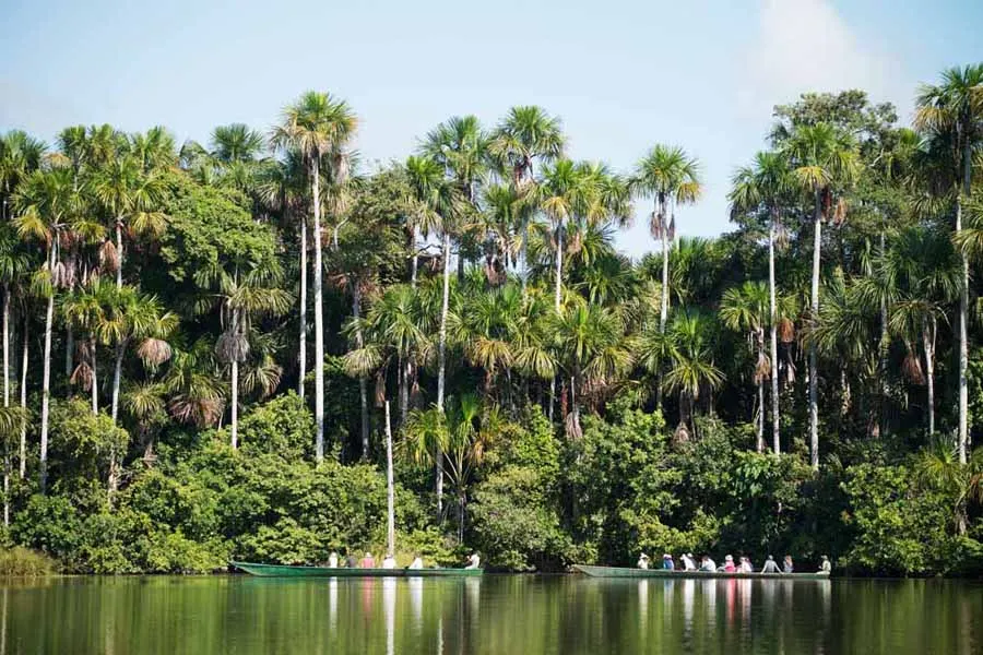 Unforgettable Peru and the Amazon