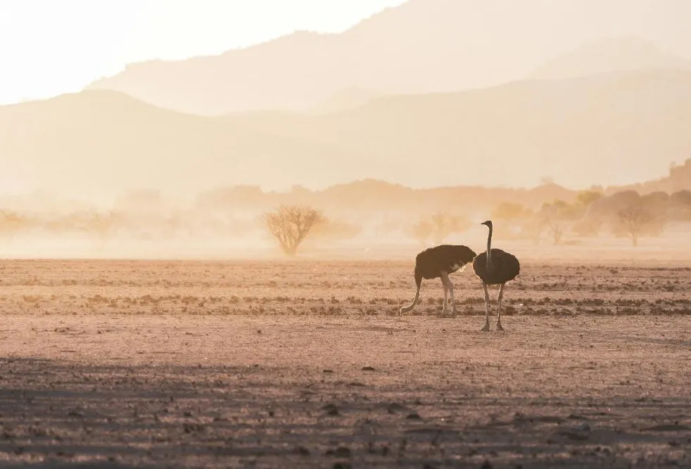 Damaraland