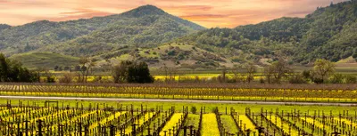 Napa Valley