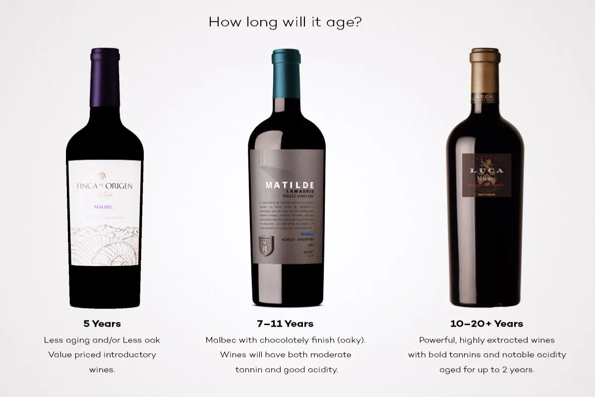 Andean Wine and Culinary Explorer