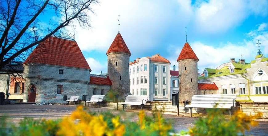 Tallinn Discovery
