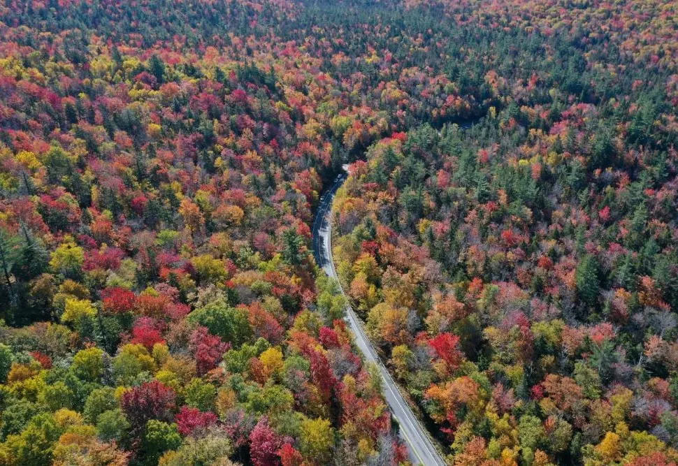 New England Fall Foliage and Coastal Getaway Self Drive Explorer