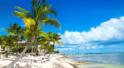 South Florida Self Drive Explorer
