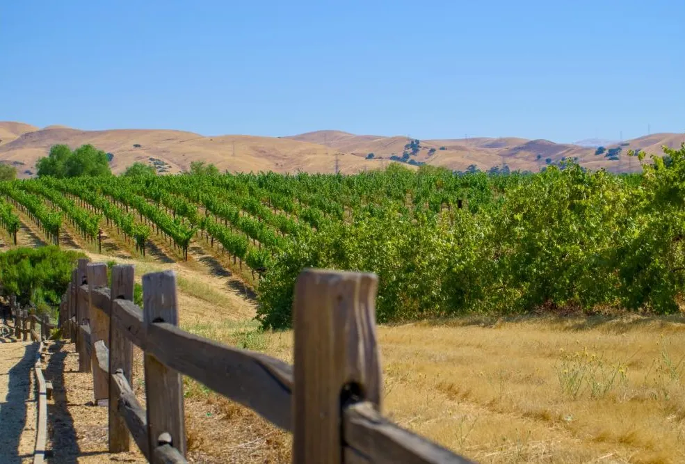 Argentine Estancia Adventure
