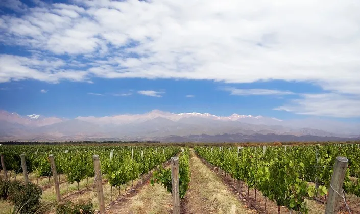 Argentina and Chile Wine Country Explorer