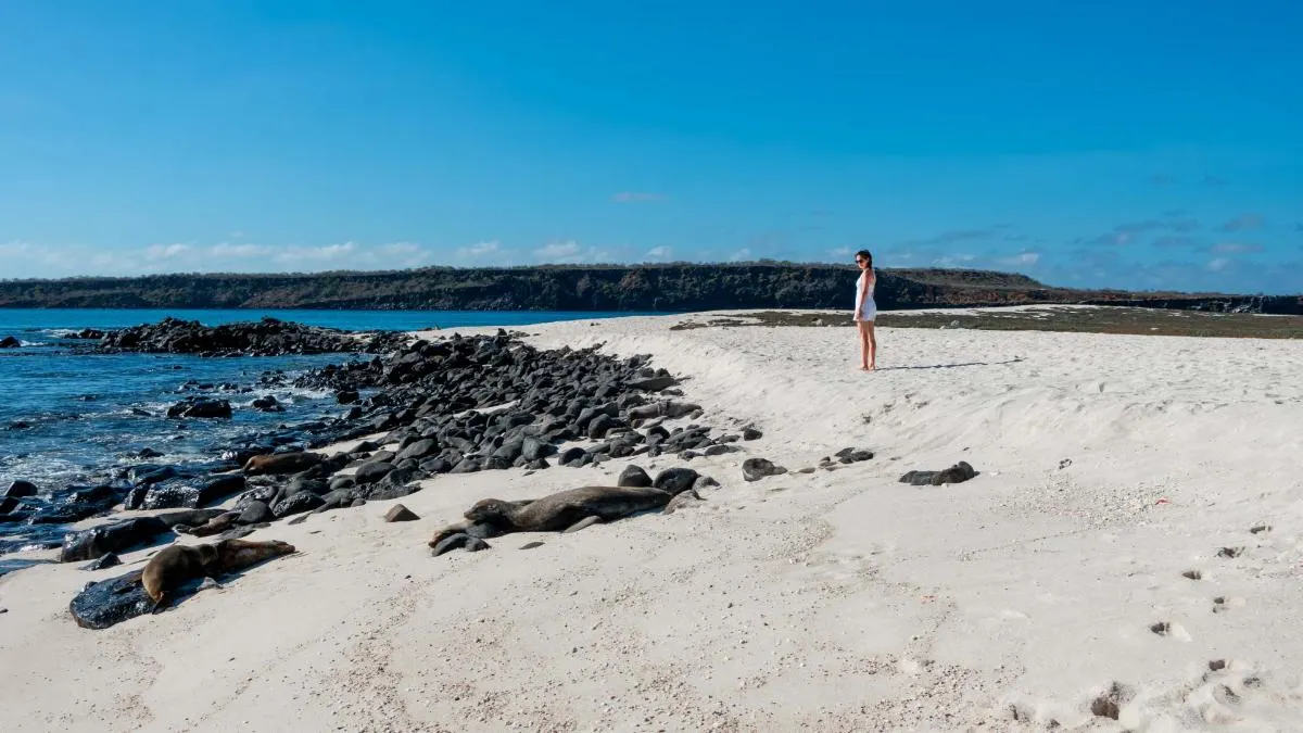 Western Galapagos Wildlife and Volcanic Wonders Cruise