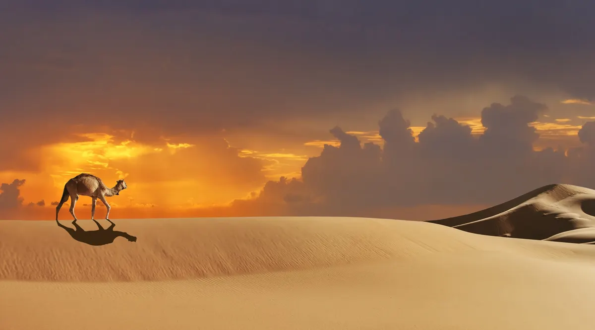Grand Morocco Explorer