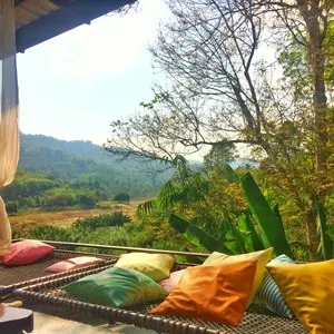 Jungle de Café