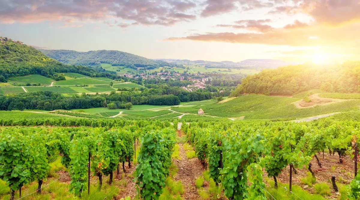 Delightful Loire Valley and Burgundy