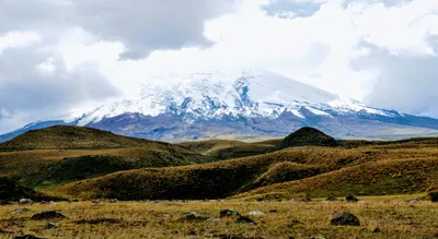 Quito and the Galapagos Islands Adventure