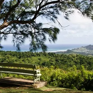 Farley Hill National Park