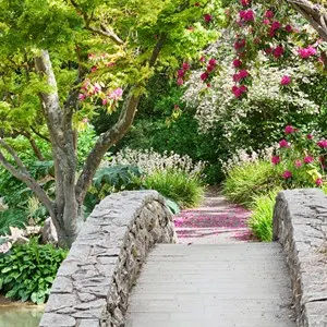 Christchurch Botanic Gardens