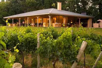 Argentina and Chile Wine Journey