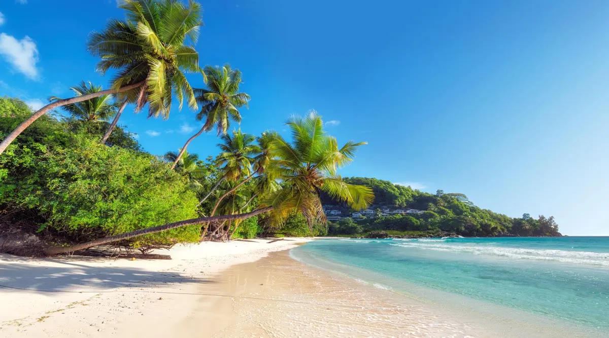 Grand East Africa & Seychelles Voyage Big Game to Big Blue 
