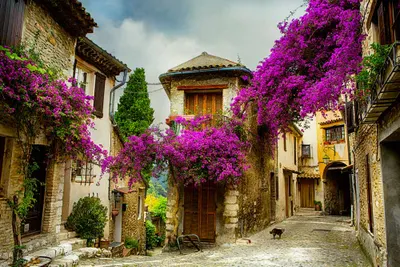 Provence to Paris France Explorer