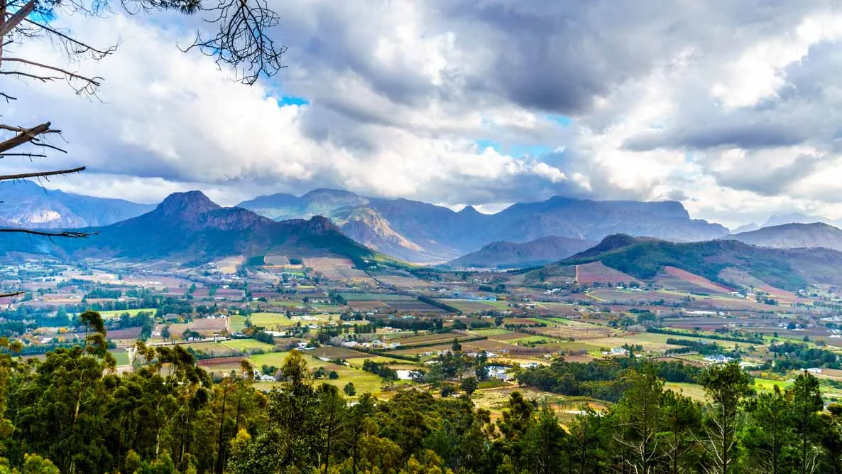 Cape Town and Winelands Escapade