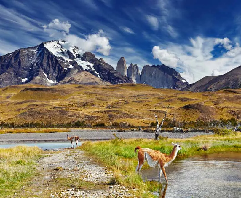 Argentina and Chile Patagonia Explorer