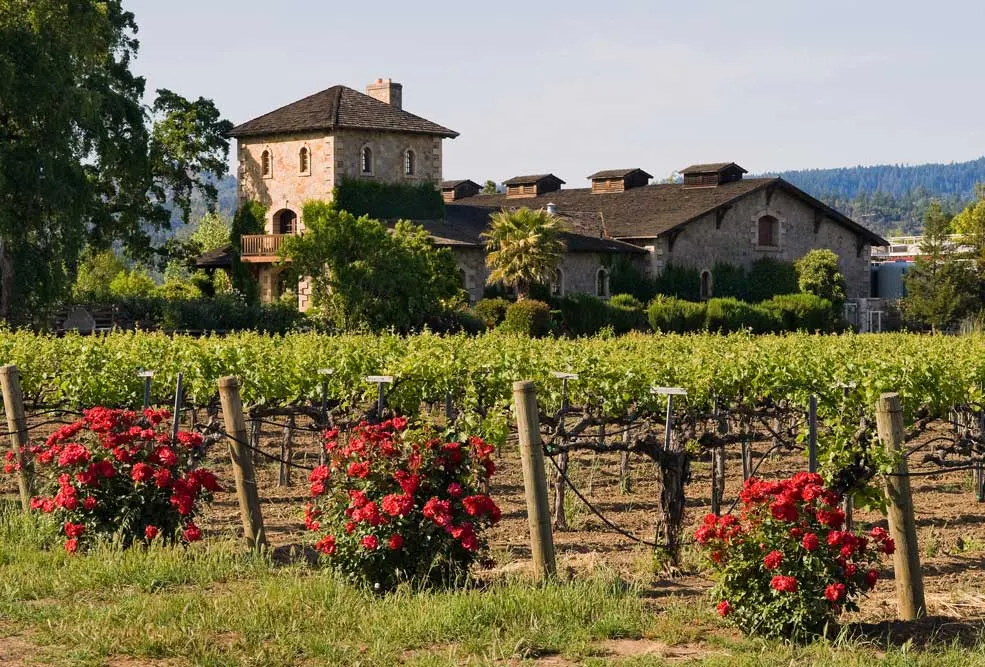San Francisco and Napa Valley Self Drive Explorer