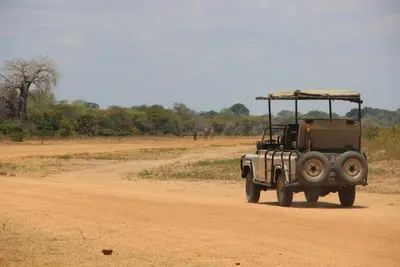 Photo 2 of Africa Safari Selous hotel