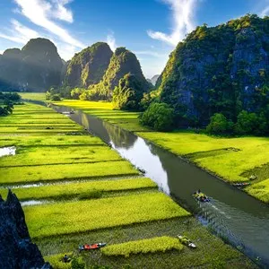 Golden rice season: Tam Coc, Bich Dong, Ninh Binh