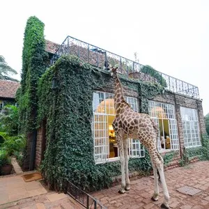 Giraffe Centre