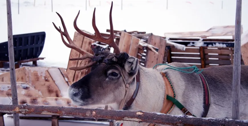 Charming Finland Multi City Vacation