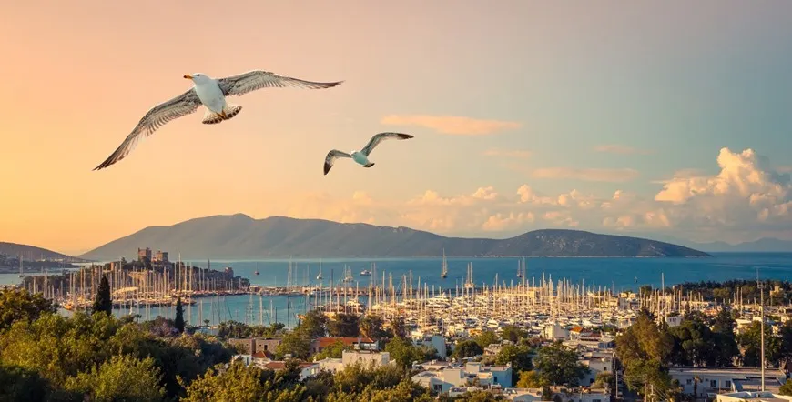 Jewels of Istanbul Cappadocia Izmir and Bodrum Private Journey