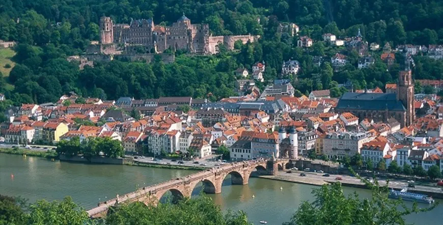 Classical Rhine River Cruise
