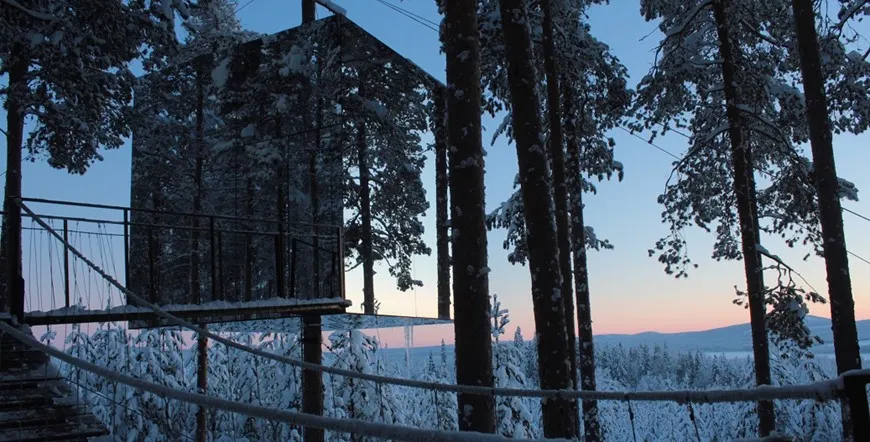 Stockholm The Ice Hotel and The Treehotel Multi City Vacation