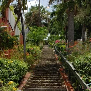 99 steps