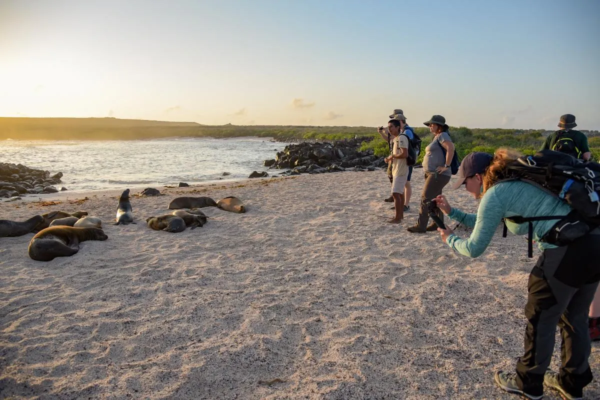 Galapagos Islands Southern Route Cruise Aboard MC Alya