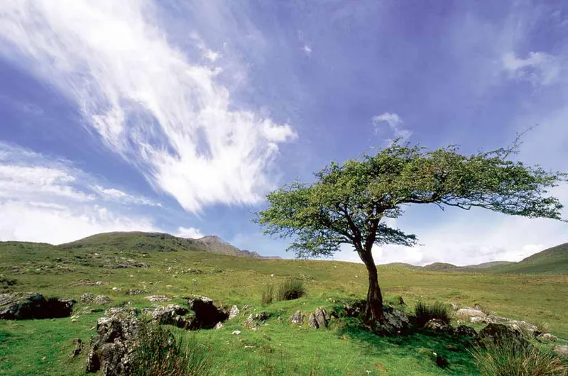 Connemara