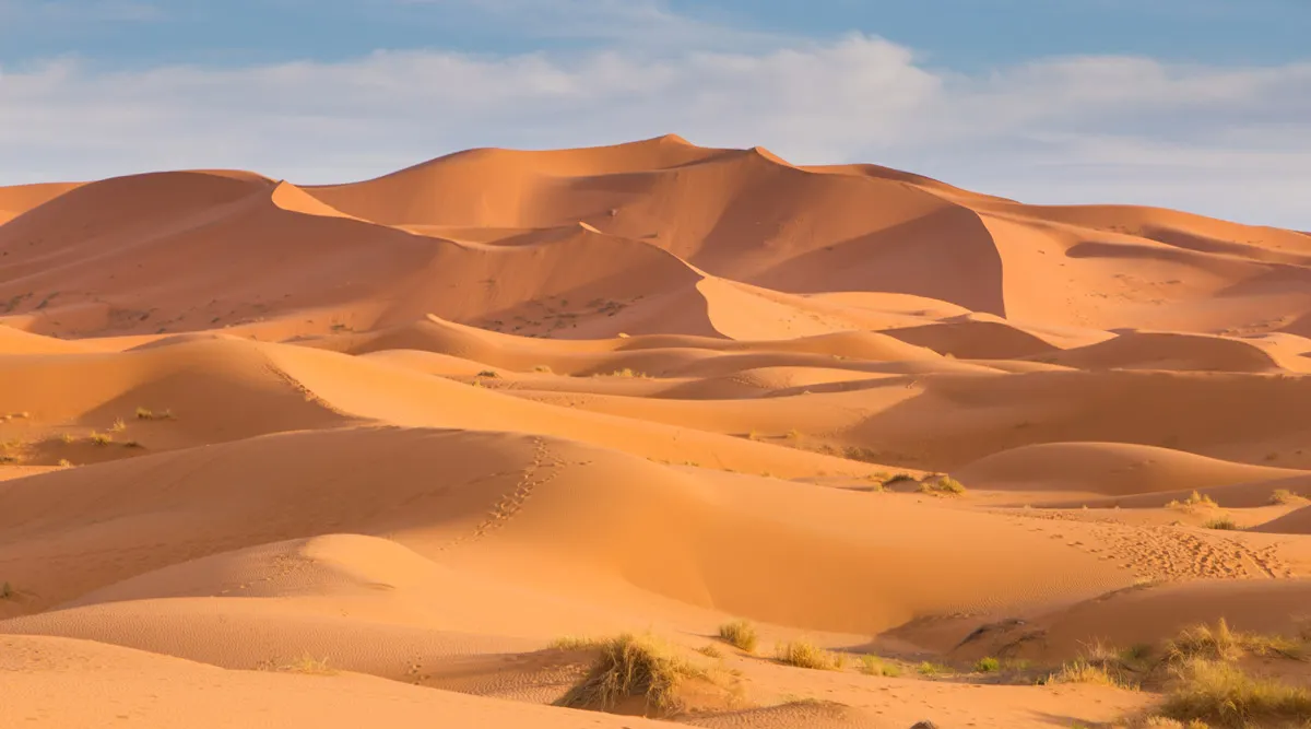 Grand Morocco Explorer