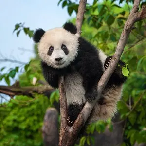 Adelaide Zoo