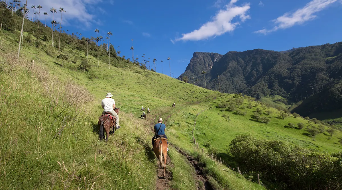 Colombia's Coffee Culture Private Journey