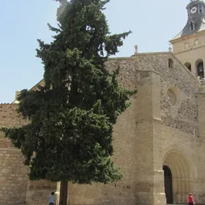 Ciudad Real, Iglesia de San Pedro