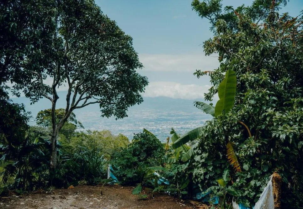 Costa Rica Pacific Coast Wellness Journey