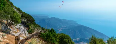 Dalaman