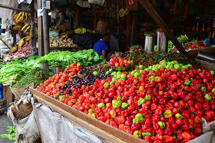 Private Cultural Journey through Brazil