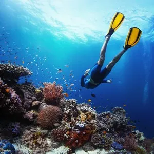 Boat Tours and Cruises