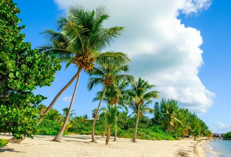 Little Cayman